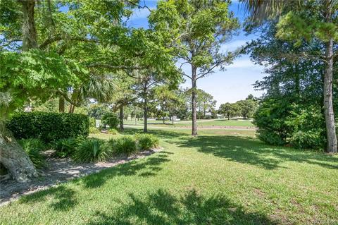 461 E Gilchrist Ct, Hernando, FL 34442 photo 5