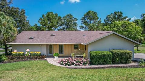 461 E Gilchrist Ct, Hernando, FL 34442 photo 1