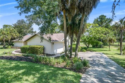 461 E Gilchrist Ct, Hernando, FL 34442 photo 23