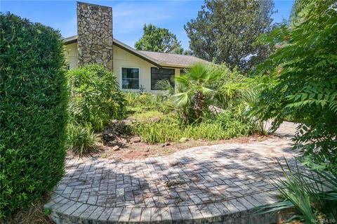 461 E Gilchrist Ct, Hernando, FL 34442 photo 25