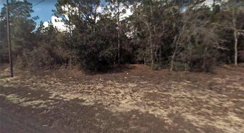 10082 N Wayland Ave, Citrus Springs, FL 34434