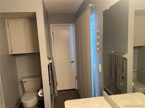 1302 E Bismark St, Hernando, FL 34442 photo 34