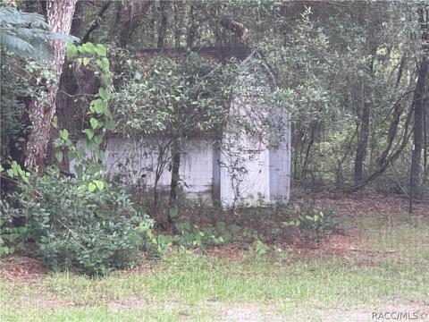 1302 E Bismark St, Hernando, FL 34442 photo 45