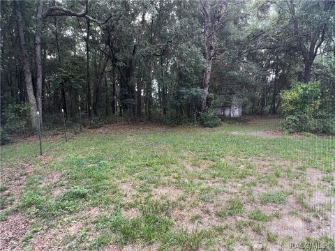1302 E Bismark St, Hernando, FL 34442 photo 43