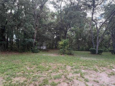 1302 E Bismark St, Hernando, FL 34442 photo 46