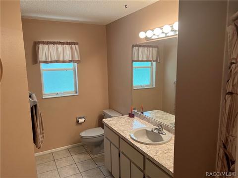1302 E Bismark St, Hernando, FL 34442 photo 29