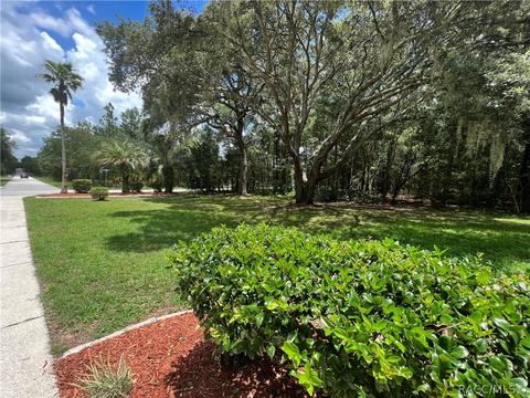 1302 E Bismark St, Hernando, FL 34442 photo 47