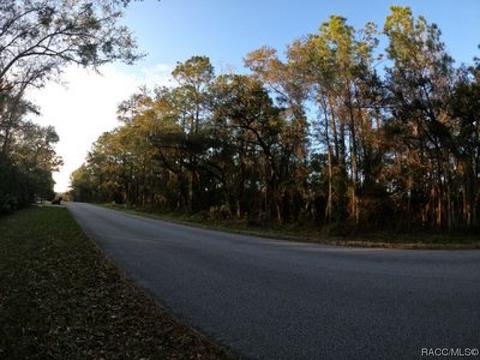 1173 W Olympia St, Hernando, FL 34442 photo 3