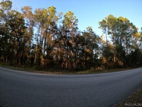 1173 W Olympia St, Hernando, FL 34442 photo 5