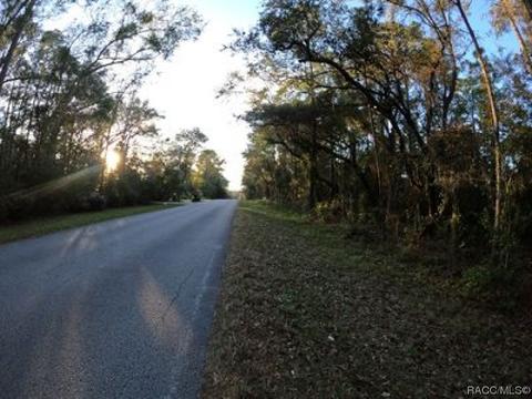 1173 W Olympia St, Hernando, FL 34442 photo 2