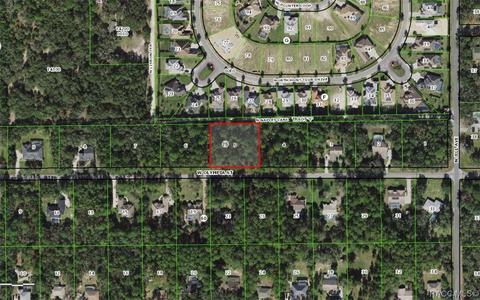 1173 W Olympia St, Hernando, FL 34442