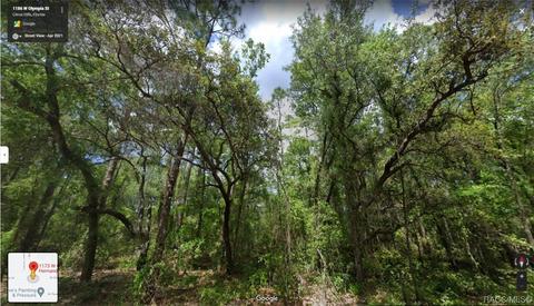 1173 W Olympia St, Hernando, FL 34442 photo 4