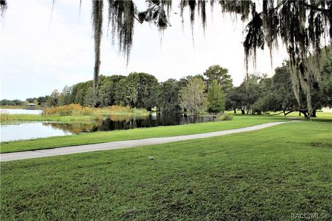 3715 E Arbor Lakes Dr, Hernando, FL 34442 photo 32