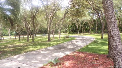 1020 E Whitecloud Ln, Hernando, FL 34442 photo 33