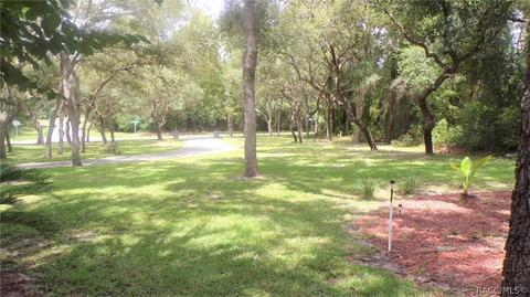 1020 E Whitecloud Ln, Hernando, FL 34442 photo 43