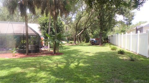 1020 E Whitecloud Ln, Hernando, FL 34442 photo 40