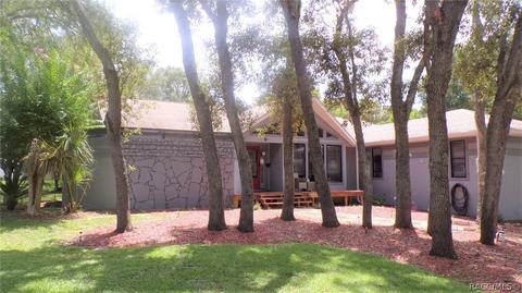 1020 E Whitecloud Ln, Hernando, FL 34442 photo 2