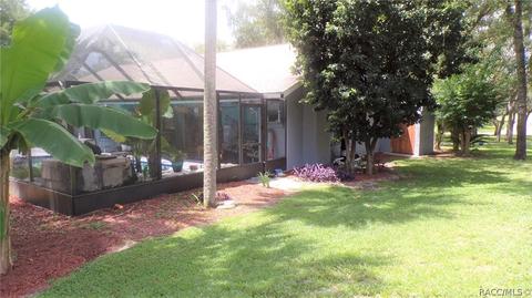 1020 E Whitecloud Ln, Hernando, FL 34442 photo 42