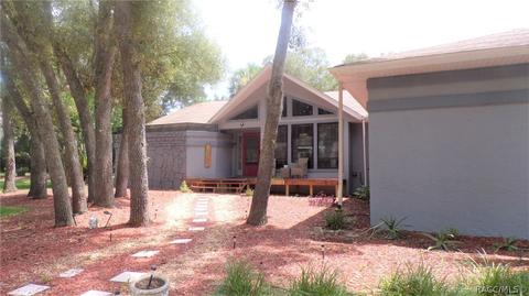 1020 E Whitecloud Ln, Hernando, FL 34442 photo 34
