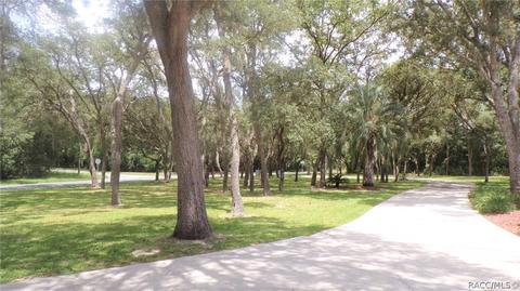 1020 E Whitecloud Ln, Hernando, FL 34442 photo 36