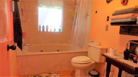 1020 E Whitecloud Ln, Hernando, FL 34442 photo 16