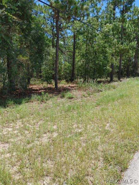 1933 W Union St, Hernando, FL 34442 photo 2