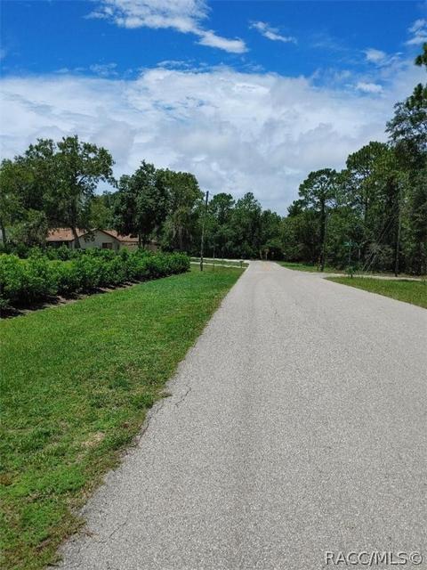 1933 W Union St, Hernando, FL 34442 photo 3