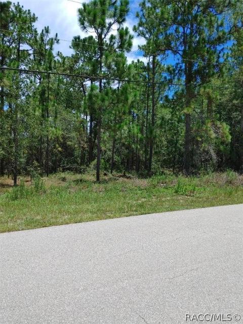 1933 W Union St, Hernando, FL 34442 photo 4