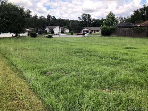 3408 E Winding Path, Inverness, FL 34450
