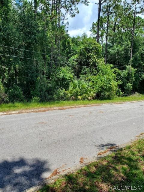 6701 E Grayson St, Inverness, FL 34452 photo 3