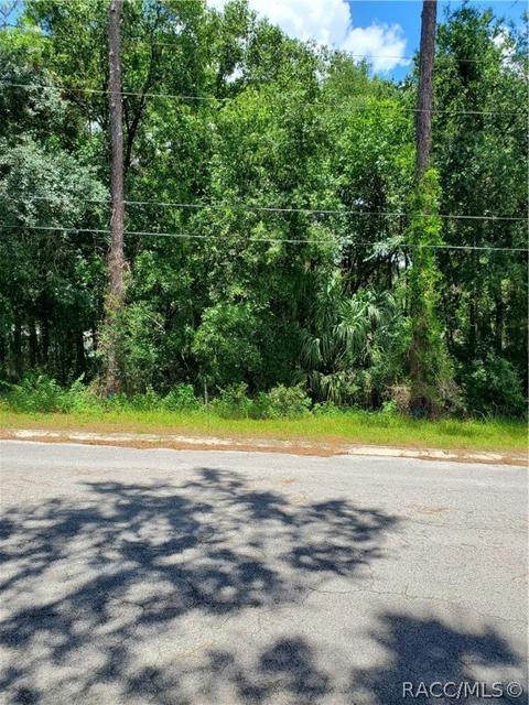 6701 E Grayson St, Inverness, FL 34452 photo 4