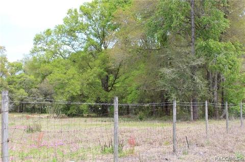 8055 N Citrus Ave, Dunnellon, FL 34433