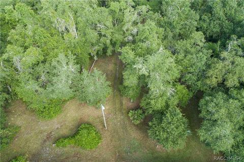 6060 E Forest Trail Dr, Hernando, FL 34442 photo 66
