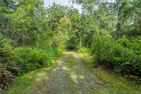 6060 E Forest Trail Dr, Hernando, FL 34442 photo 5