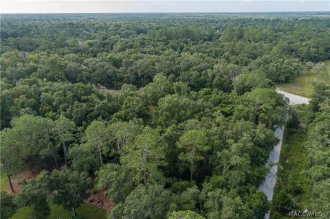 6060 E Forest Trail Dr, Hernando, FL 34442 photo 62