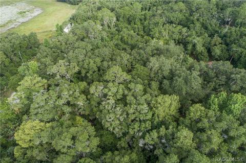 6060 E Forest Trail Dr, Hernando, FL 34442 photo 64