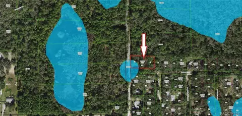 5711 E Squaw Ct, Hernando, FL 34442 photo 3