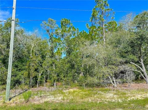 3552 N Eisenhower Ave, Hernando, FL 34442 photo 8