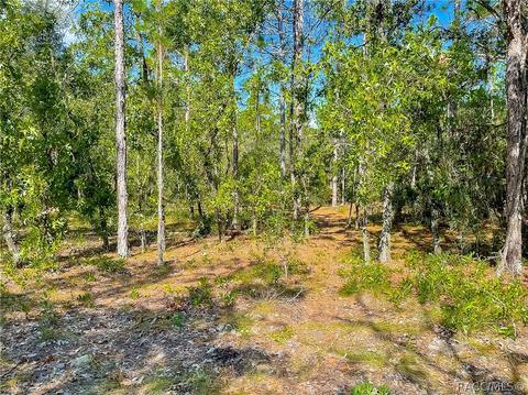 3552 N Eisenhower Ave, Hernando, FL 34442 photo 2