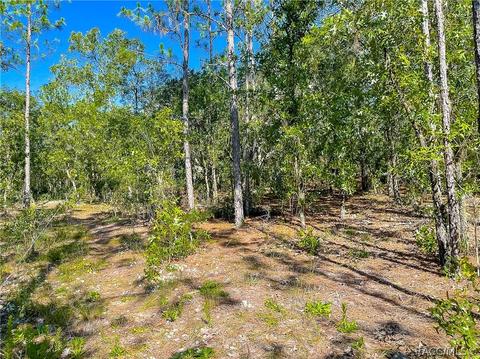 3552 N Eisenhower Ave, Hernando, FL 34442 photo 7
