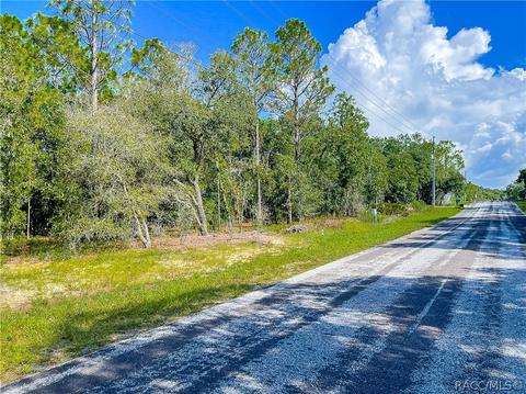 3552 N Eisenhower Ave, Hernando, FL 34442 photo 10