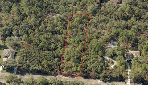 3552 N Eisenhower Ave, Hernando, FL 34442 photo 13