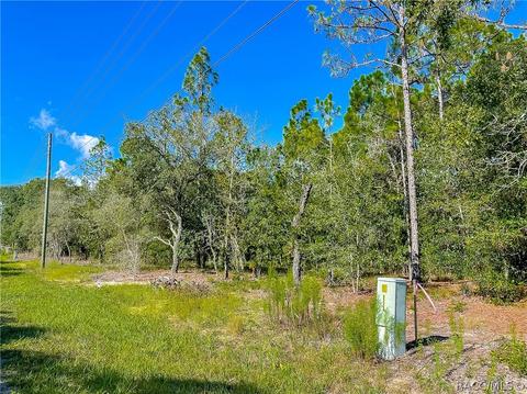 3552 N Eisenhower Ave, Hernando, FL 34442 photo 6