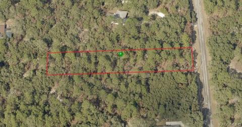 3552 N Eisenhower Ave, Hernando, FL 34442 photo 12