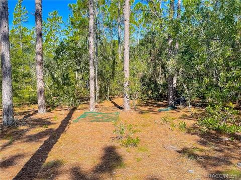 3552 N Eisenhower Ave, Hernando, FL 34442 photo 4