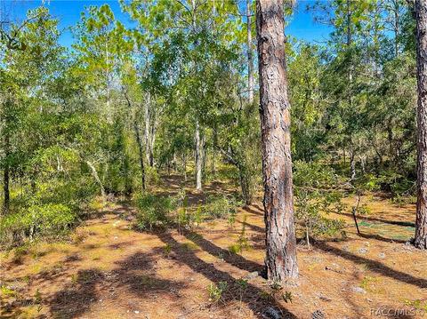 3552 N Eisenhower Ave, Hernando, FL 34442 photo 5