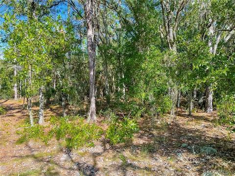 3552 N Eisenhower Ave, Hernando, FL 34442 photo 3