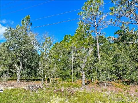 3552 N Eisenhower Ave, Hernando, FL 34442