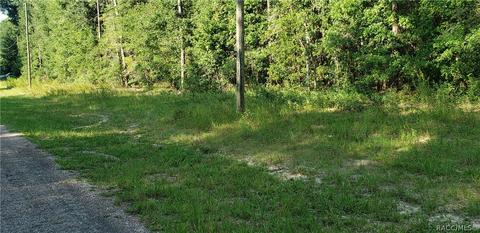 9831 N Caravel Ter, Citrus Springs, FL 34434