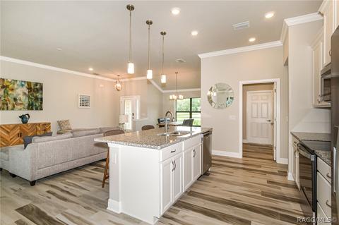 3206 N Annapolis Ave, Hernando, FL 34442 photo 10